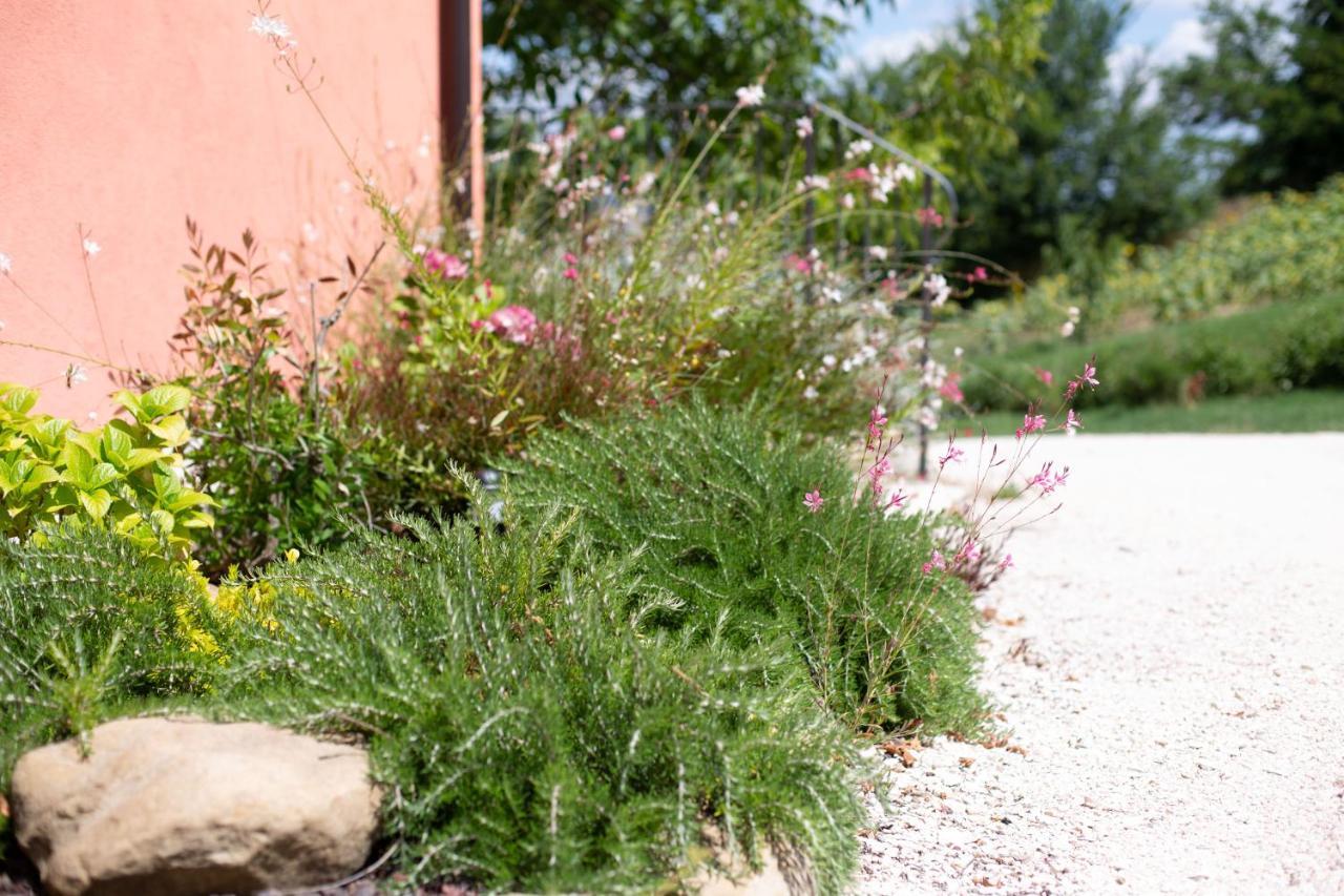 Country House Villa Sabrina San Ginesio Екстериор снимка